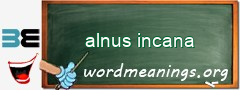 WordMeaning blackboard for alnus incana